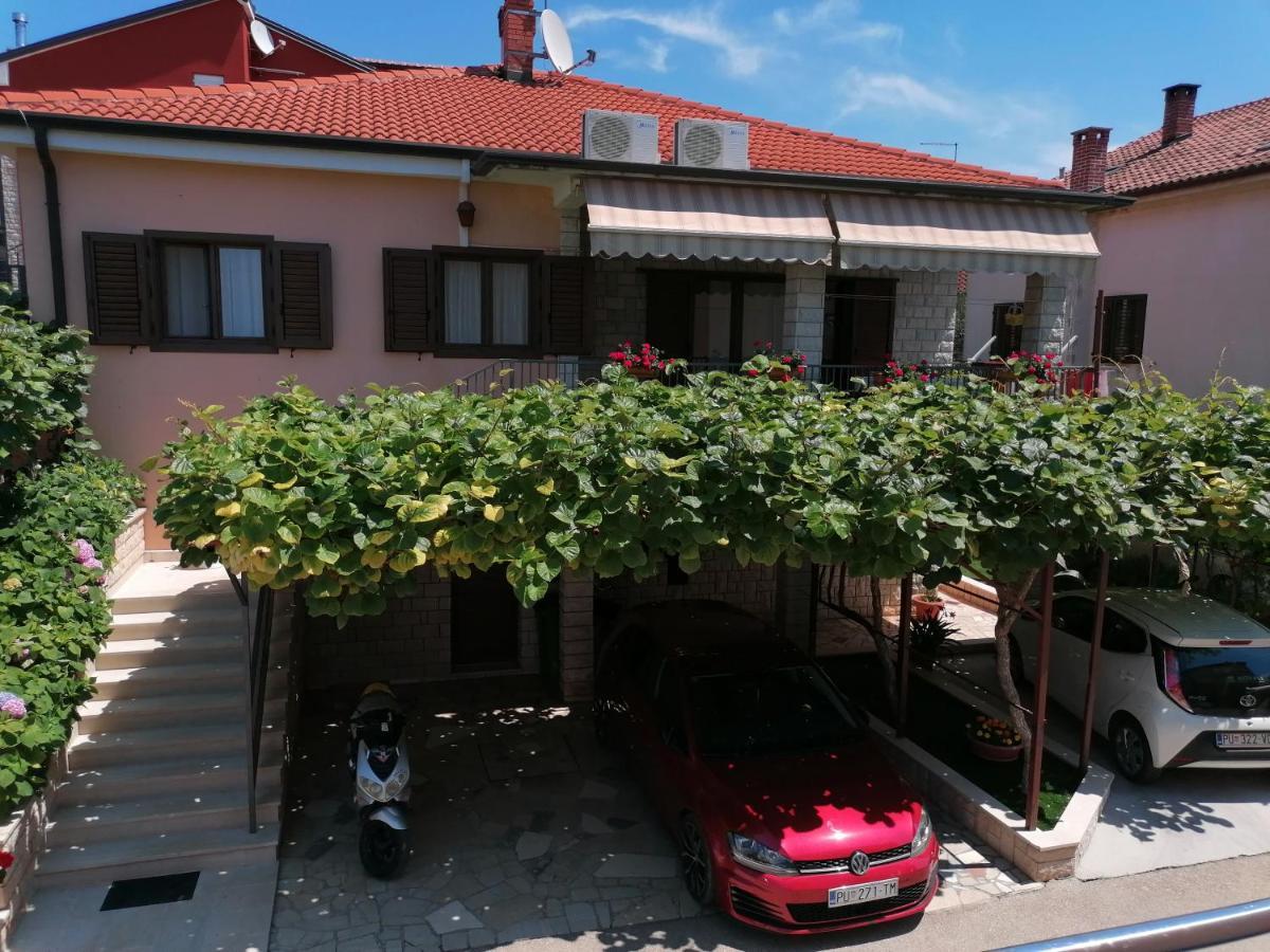 Apartman Bruna Novigrad Istria Exterior foto