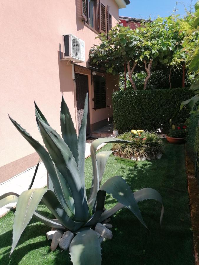 Apartman Bruna Novigrad Istria Exterior foto